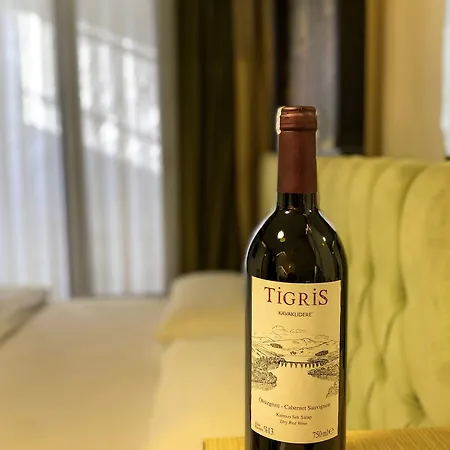 Shadi House 호텔 2*