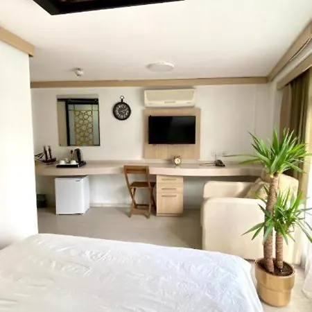 Shadi House 2* Κωνσταντινούπολη